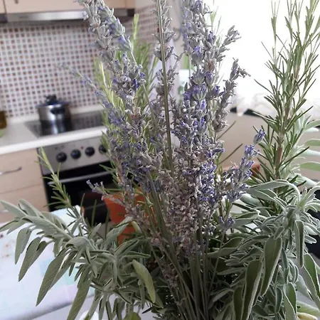 Cozy Fantastic View Appartement *